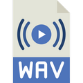 九隻海翁.wav